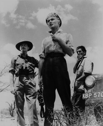 Safari