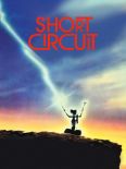 Short Circuit