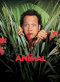 The Animal