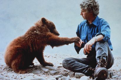The Bear