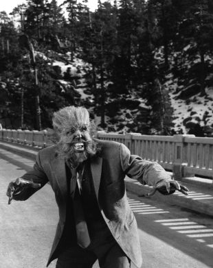 The Werewolf
