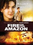 Fire on the Amazon