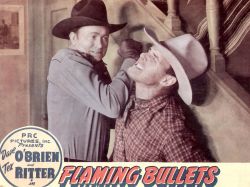 Flaming Bullets