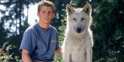 Silver Wolf