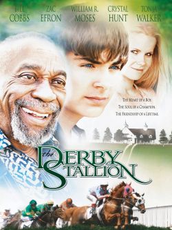 The Derby Stallion