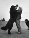 Gentle Giants