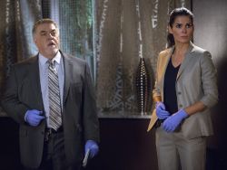 bruce mcgill allmovie