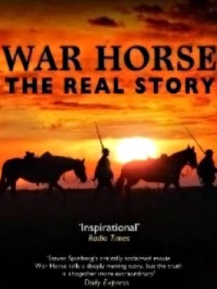 Themes In War Stories | war horse the real story 2012 george pagliero Themes In War Stories | war horse the real story 2012 george pagliero