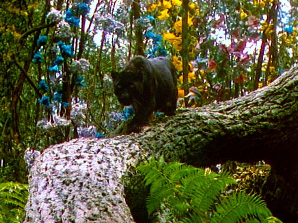 Jungle Book