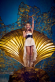 Kylie Minogue: Aphrodite Les Folies - Live in London