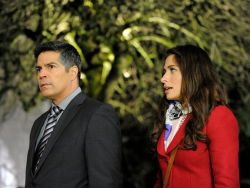 Alan Zenuk/USA Network
