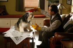 Hopper Stone/USA Network