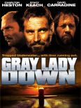 Gray Lady Down