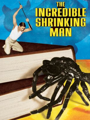 The Incredible Shrinking Man (1957) - Jack Arnold | Synopsis ...