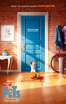 DVD cover