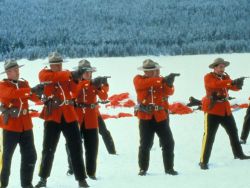 Due South