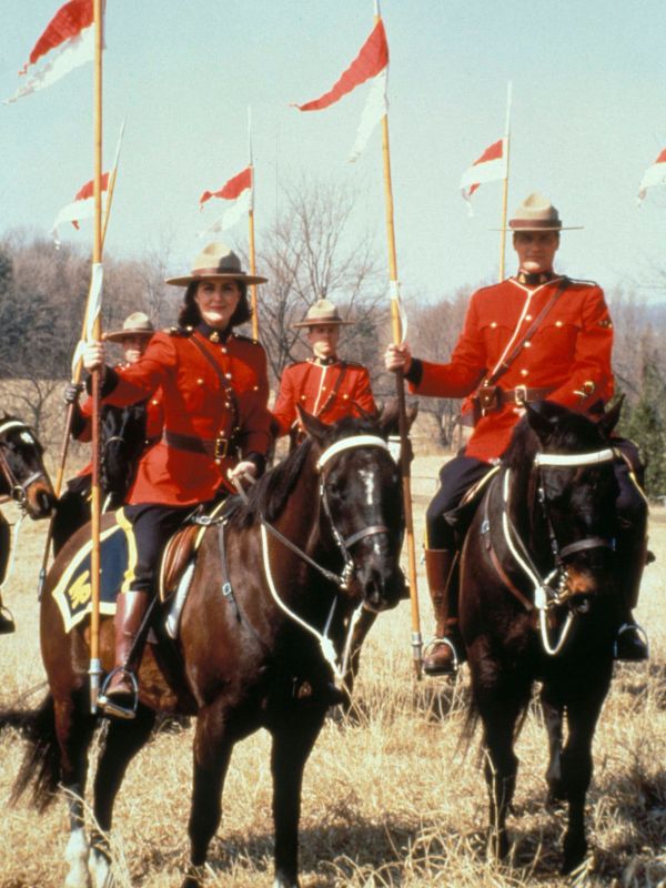 Due South