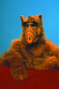ALF: Season 01
