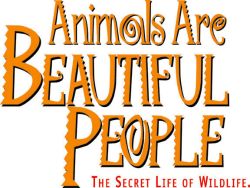 Animals Are Beautiful People