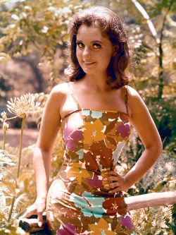 Gilligan's Island [TV Series]