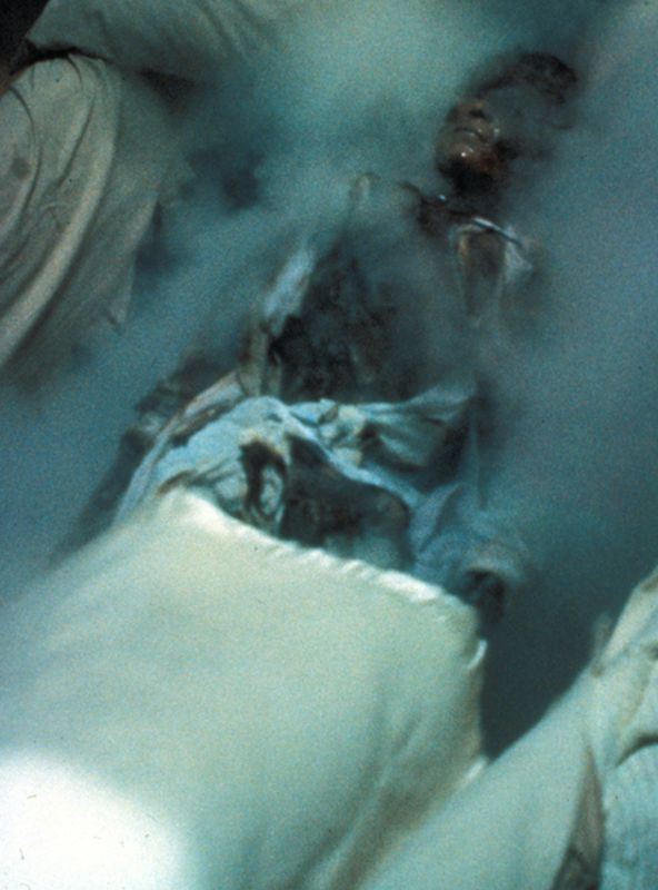 A Nightmare on Elm Street