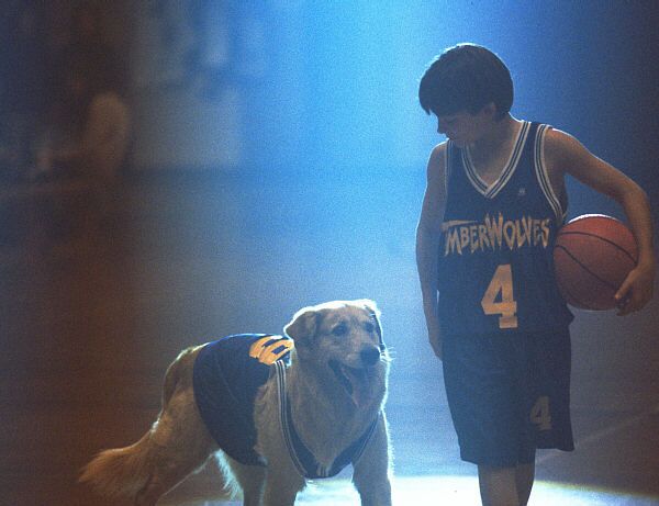 Air Bud