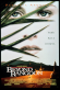 Beyond Rangoon