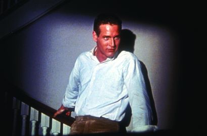 Cat On A Hot Tin Roof