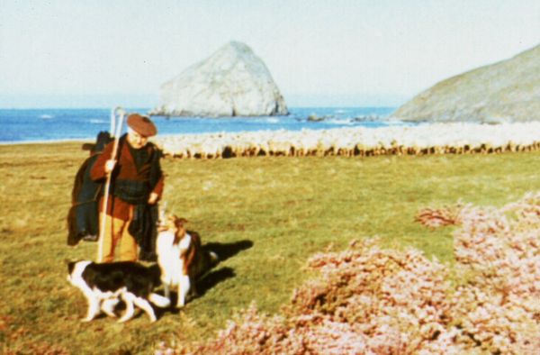 Challenge to Lassie