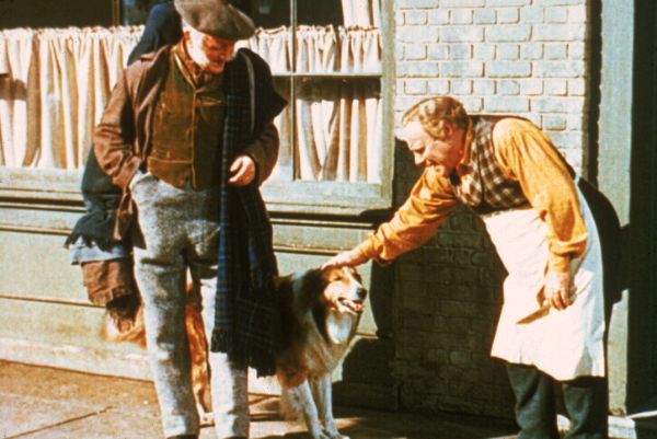 Challenge to Lassie