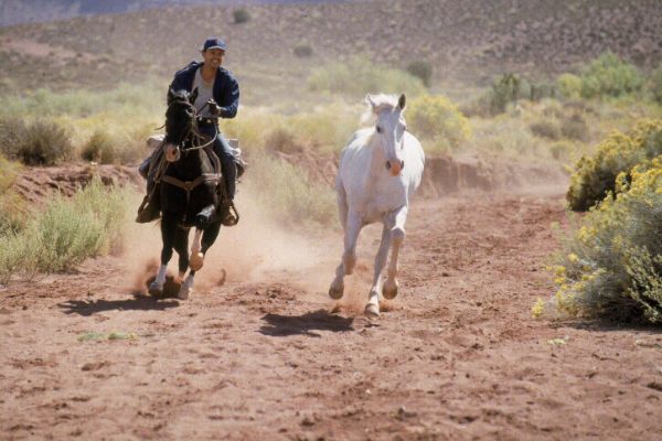 City Slickers II: The Legend of Curly's Gold