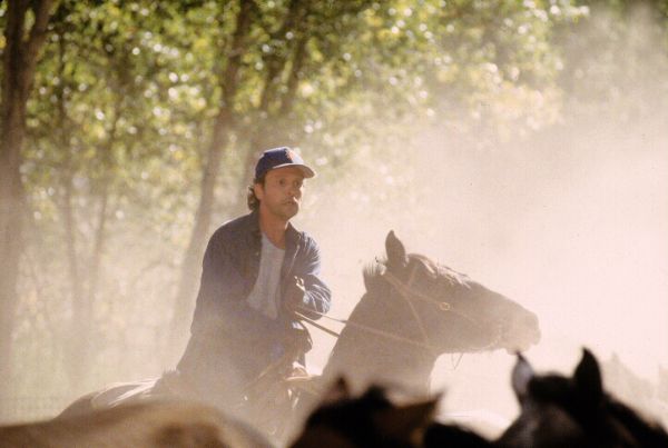 City Slickers II: The Legend of Curly's Gold
