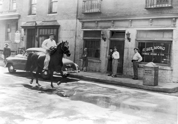 Crazy Over Horses