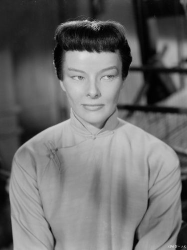 a biography of katharine houghton hepburn Biography: katharine houghton hepburn was born on may 12, 1907 in hartford, connecticut to thomas norval hepburn and katharine martha houghtonshe studied at bryn mawr college and began her career performing in summer stock productions. a biography of katharine houghton hepburn Biography: katharine houghton hepburn was born on may 12, 1907 in hartford, connecticut to thomas norval hepburn and katharine martha houghtonshe studied at bryn mawr college and began her career performing in summer stock productions.
