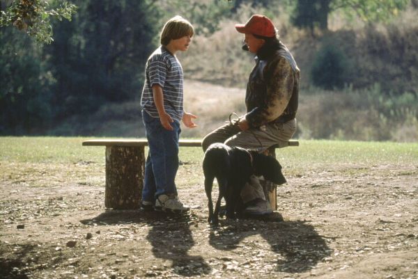 Family Tree (2000) - Duane B. Clark | Synopsis ...