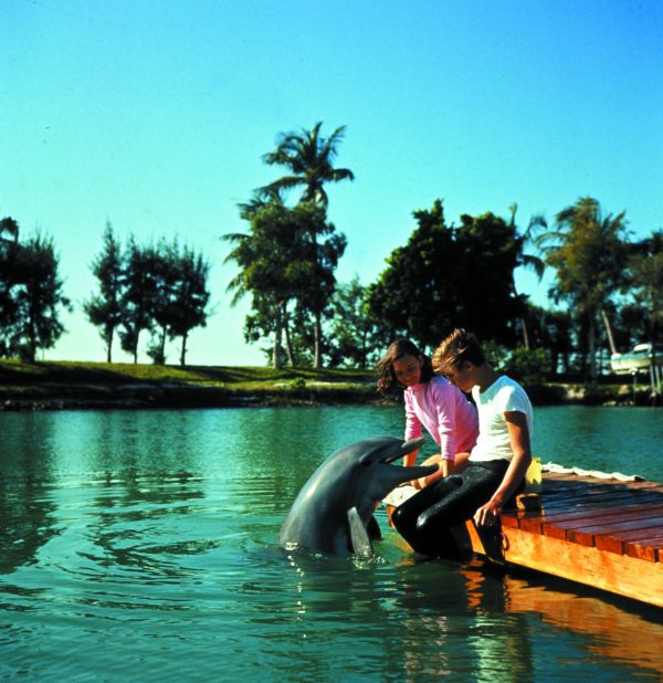 Flipper's New Adventure