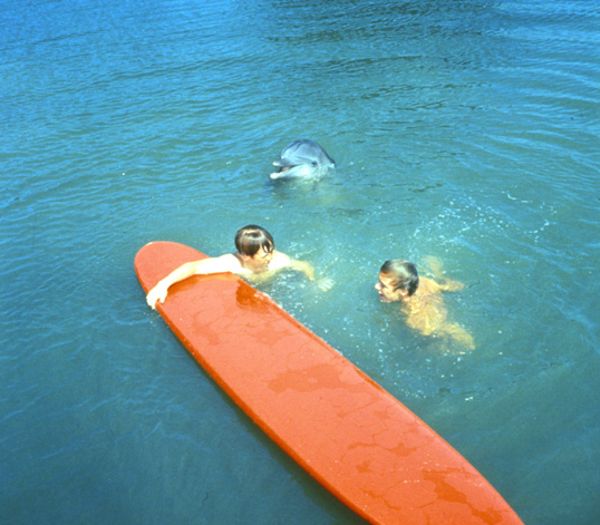 Flipper's New Adventure