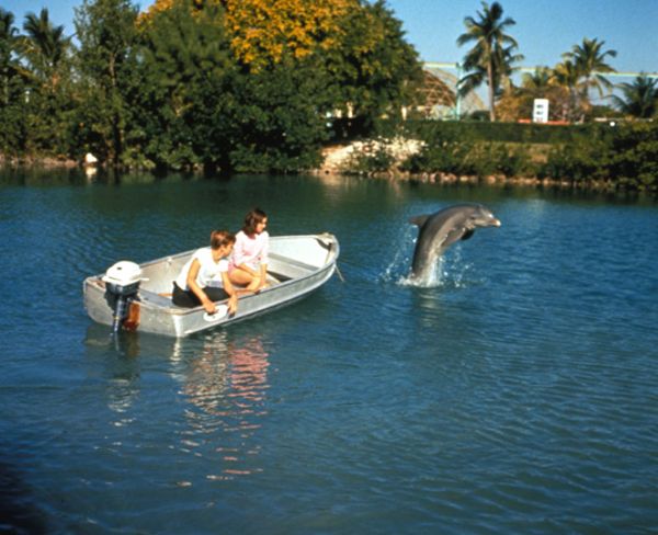 Flipper's New Adventure
