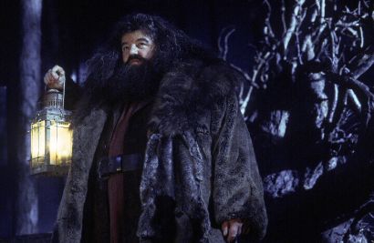 Harry Potter And The Sorcerer's Stone