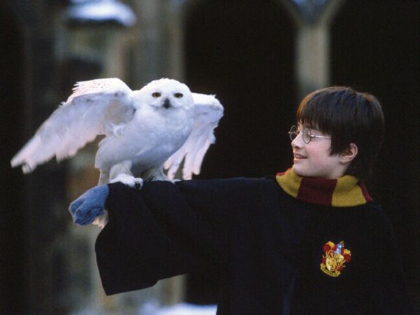 Harry Potter And The Sorcerer's Stone
