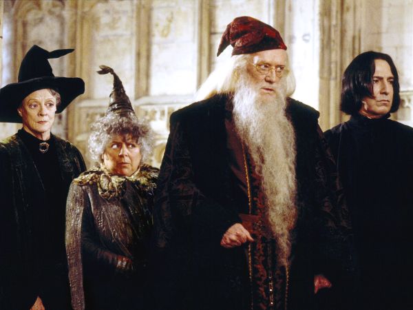 Harry Potter and the Chamber of Secrets