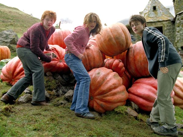 Harry Potter and the Prisoner of Azkaban