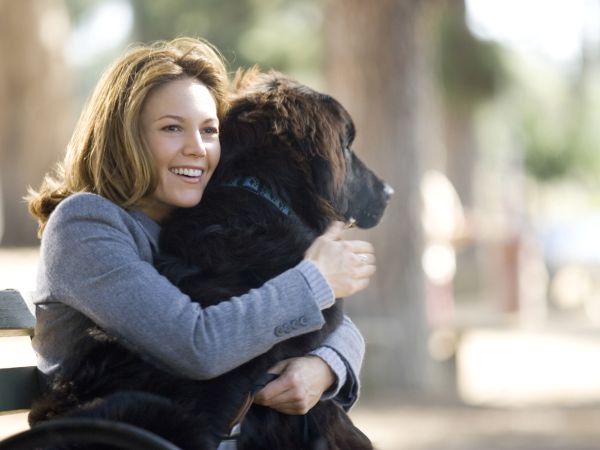 Must Love Dogs