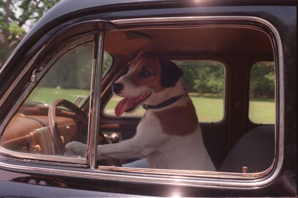 My Dog Skip 2000 Jay Russell Synopsis