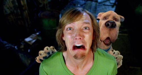 Matthew Lillard | Biography, Movie Highlights and Photos | AllMovie