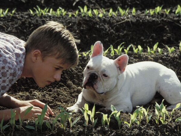 Secondhand Lions