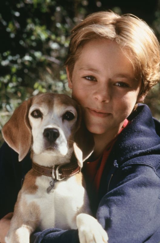 Shiloh 2 Shiloh Season (1999) Sandy Tung Synopsis, Characteristics