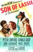 Son of Lassie