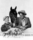 Stablemates