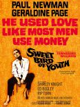 Sweet Bird of Youth